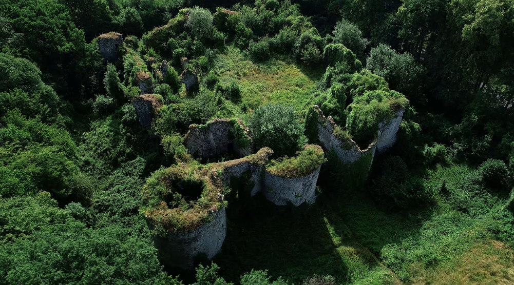 Chateau de Montaiguillon, France